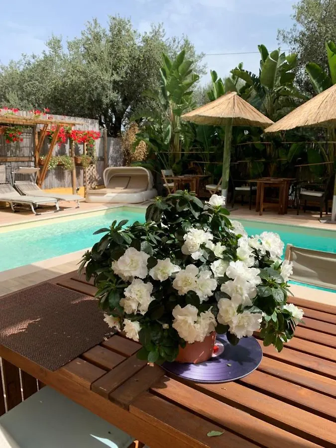 Bed & Breakfast Bed and Breakfast L'Oasi Di Franco Villa San Pietro